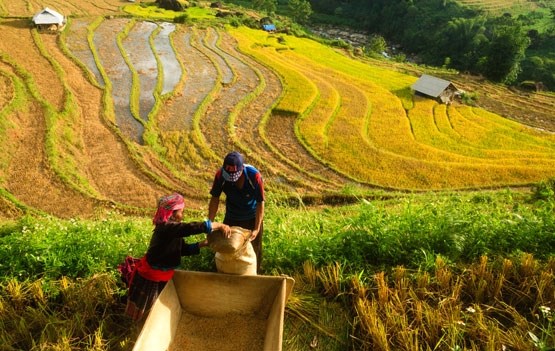 Hiệu quả liên kết nhóm của bà con vùng đồng bào dân tộc thiểu số (12/9/2017)